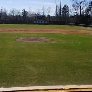 Meet your Posher, Joey